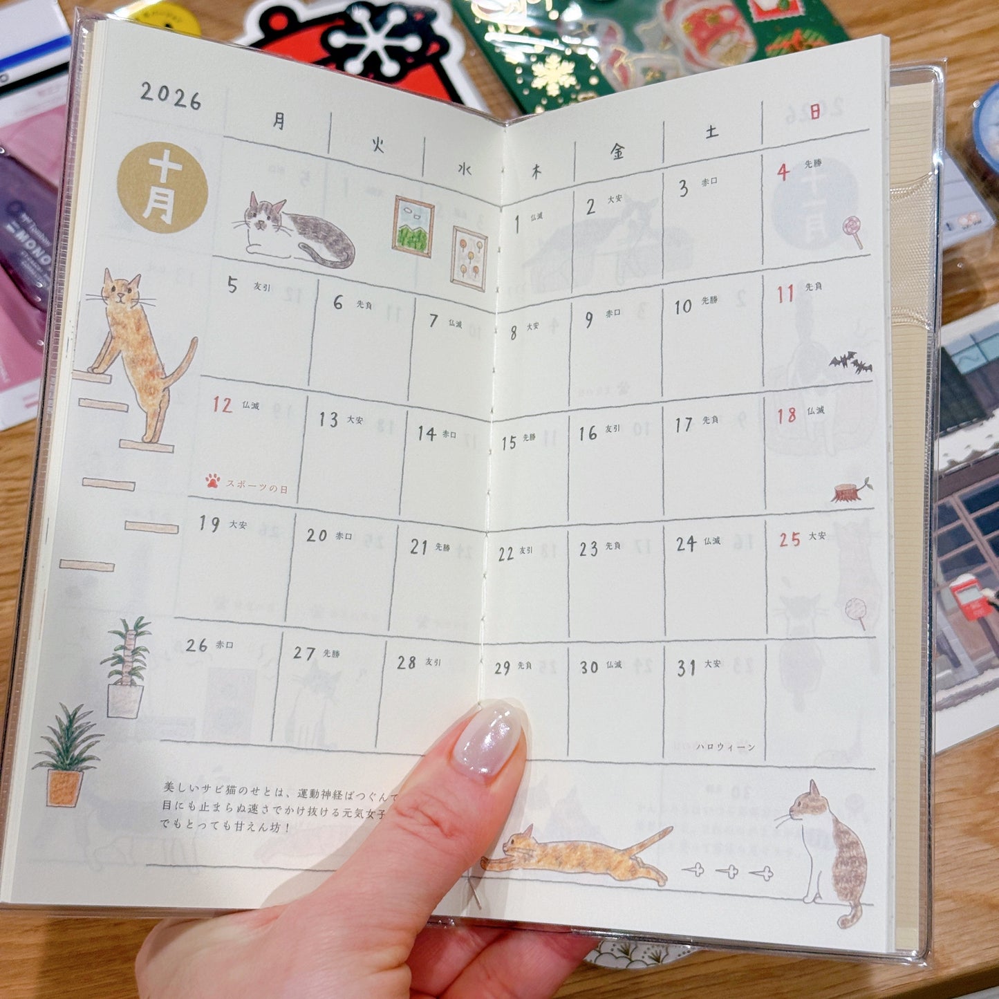 2025 Winter Pack ❄️