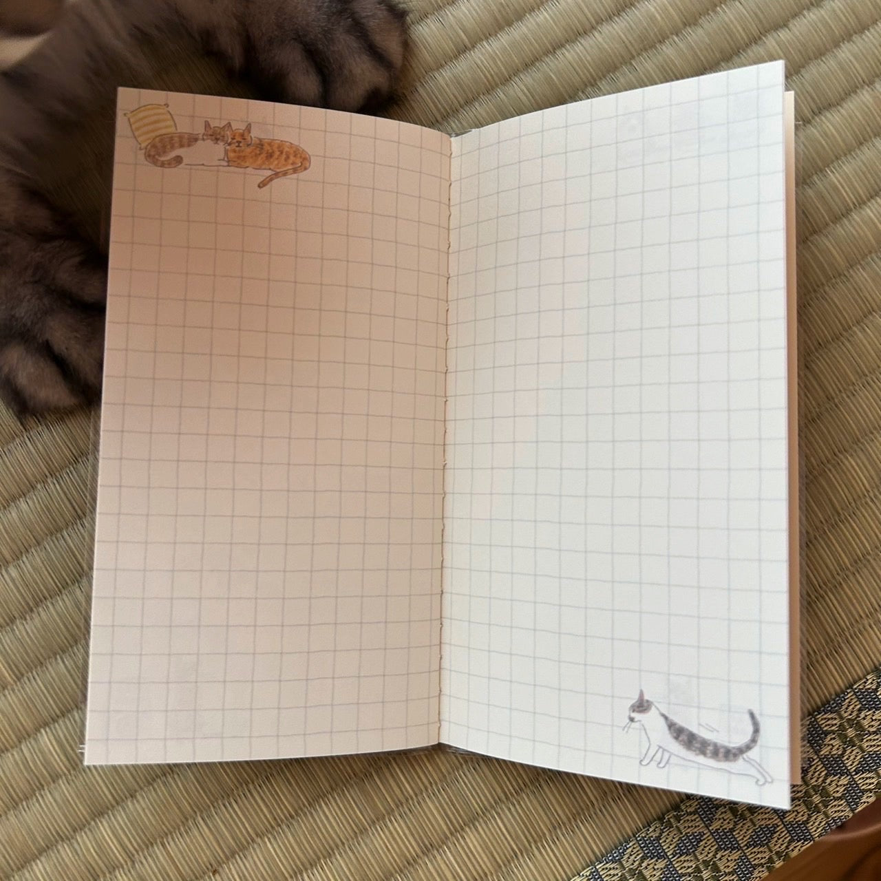 2026 Midori Cat Schedule/Diary