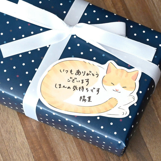 Orange Cat Note Cards/Gift Tags 🐈 Set of 10