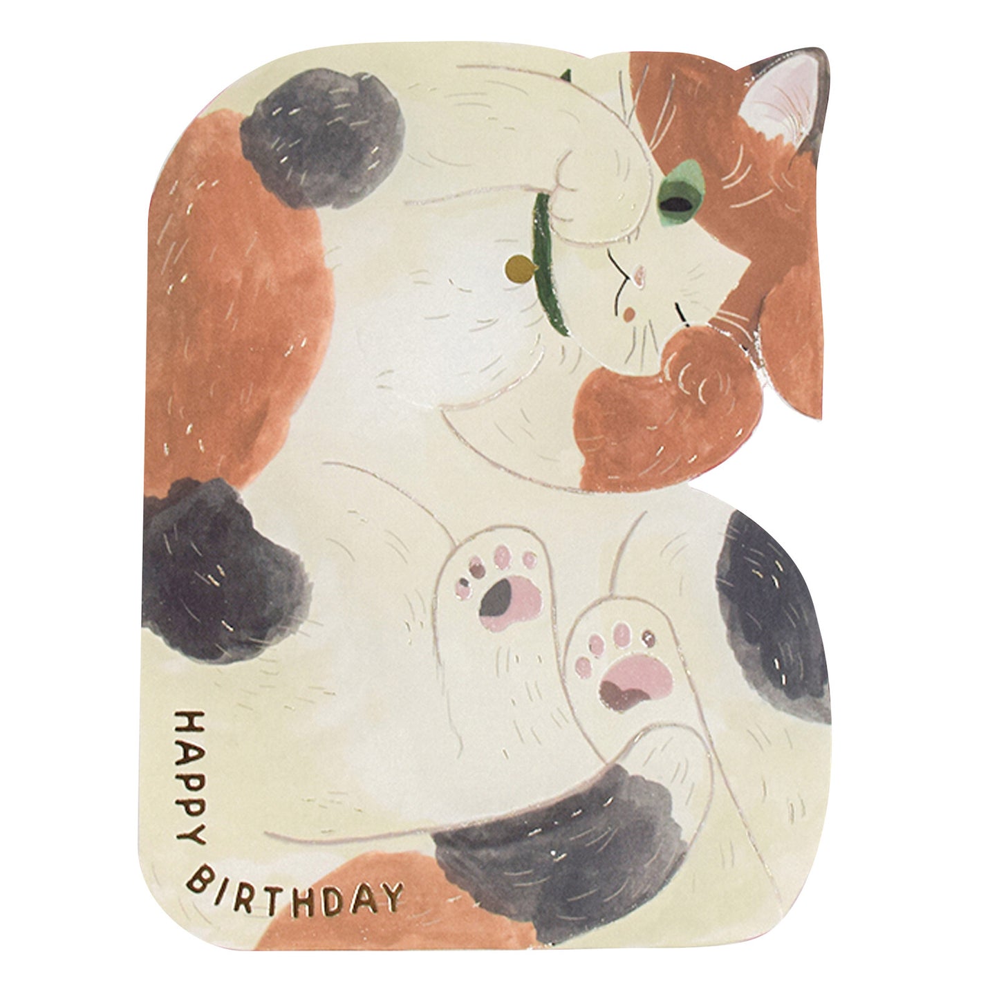 Curled Up Cat Birthday Card 🐟 Calico