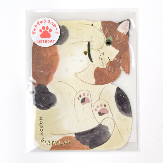 Curled Up Cat Birthday Card 🐟 Calico