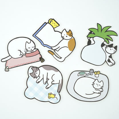 Cat Note Cards with Envelopes 🐈 Set of 5