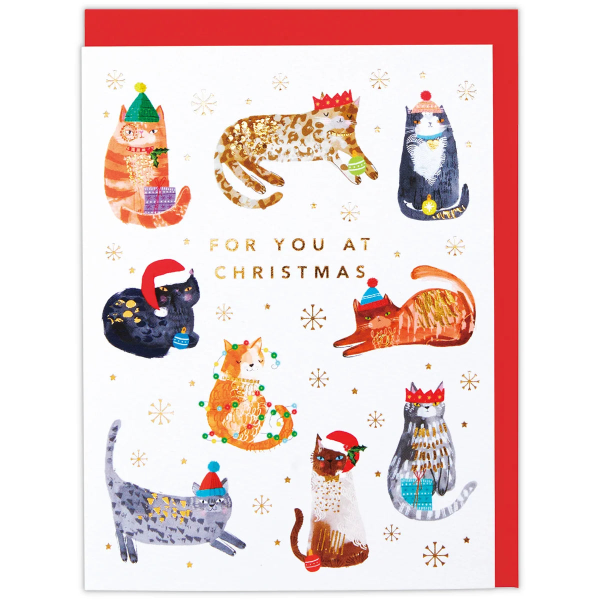 Festive Cats 🐾 Pop-up Christmas Card